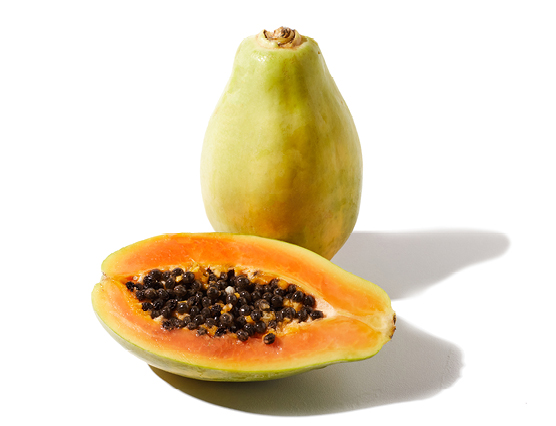 Découvrez la plante : Papaya