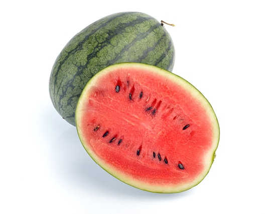 Découvrez la plante : Watermelon